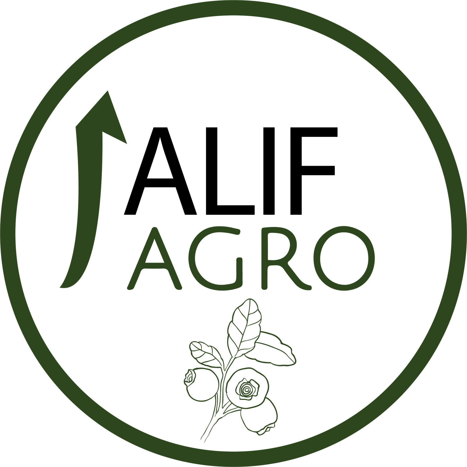 Logo de ALIF Agro